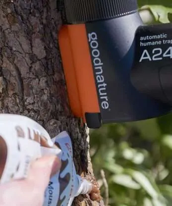 A24 Rat & Mouse Starter Kit - Image 6