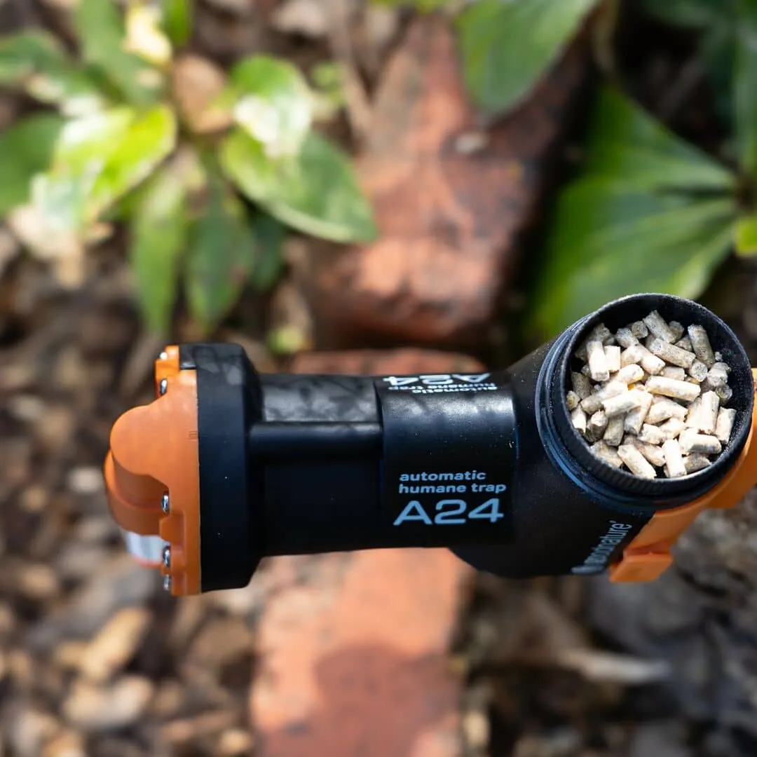 A24 Rat & Mouse Starter Kit - Image 3