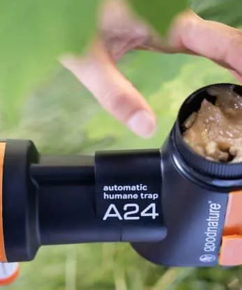 A24 Rat & Mouse Starter Kit - Image 4