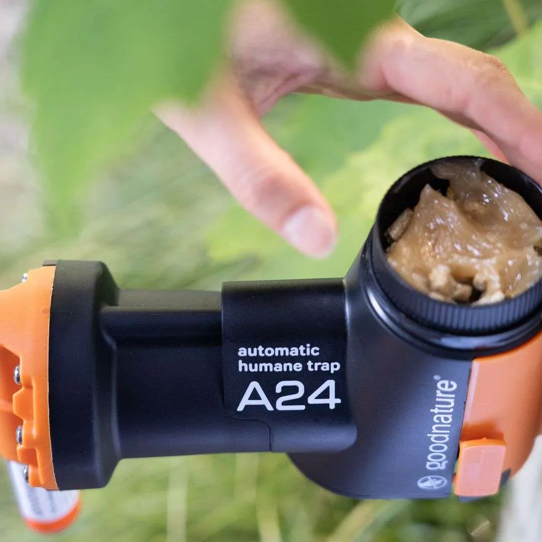 A24 Rat & Mouse Starter Kit - Image 4